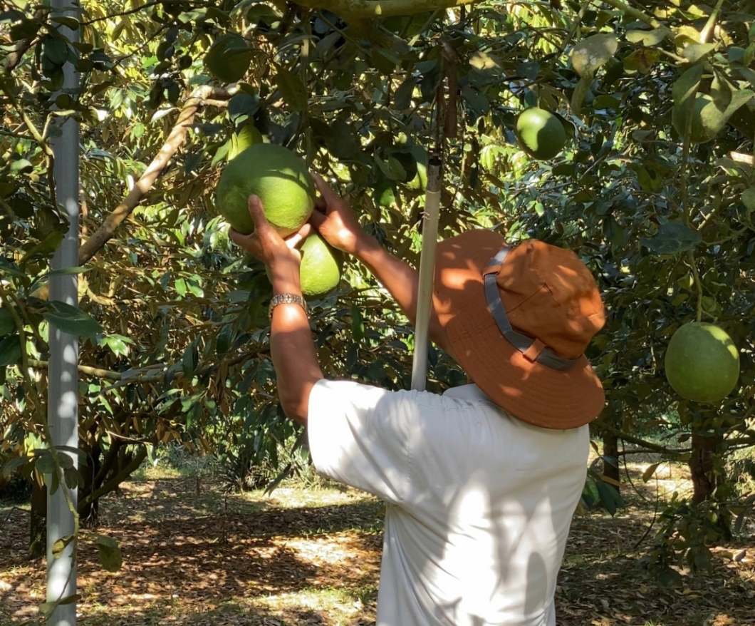 Anh dai dien tin tuc